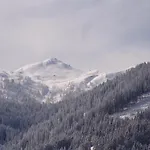 Готель Loj - Our Kind Of Place