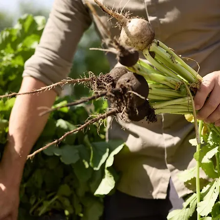 فندق Loj - Our Kind Of Place