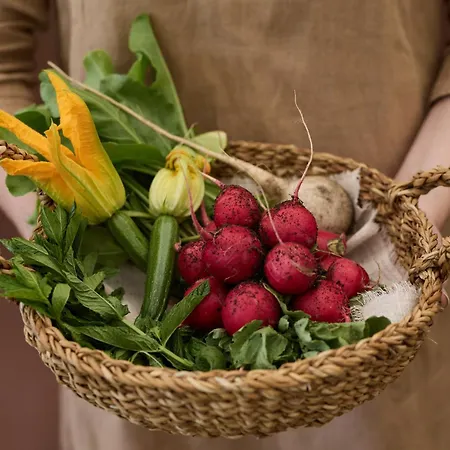 Loj - Our Kind Of Place Hotel Flachau