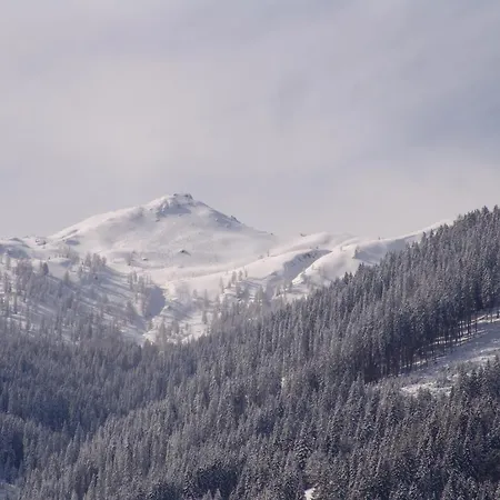 Готель Loj - Our Kind Of Place